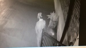 2.6K views · 14 reactions | Do you know this man? According to an investigator, the suspect was seen on surveillance video outside the Blacksmith Shop on Poplar Street and is a suspect in an October 24th camera theft from the venue. If you have any information about the man or the theft please contact the Bibb County Sheriff’s Office at 478-751-7500 or Macon Regional Crimestoppers at 1-877-68CRIME. | Bibb County Sheriff's Office | Facebook