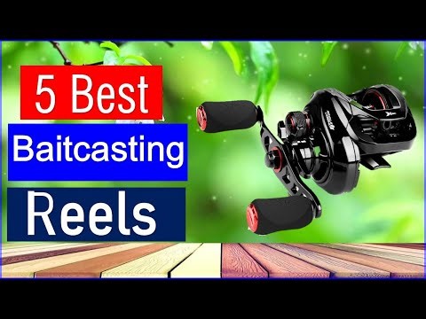 Top 5 Best Baitcaster Reel 2025 | Best Baitcaster Reel - Reviewed