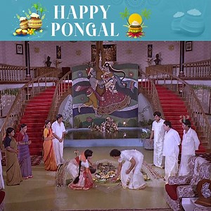 Pongal Special Videos | Viral Videos | Top Videos | Best Video collection | AP International