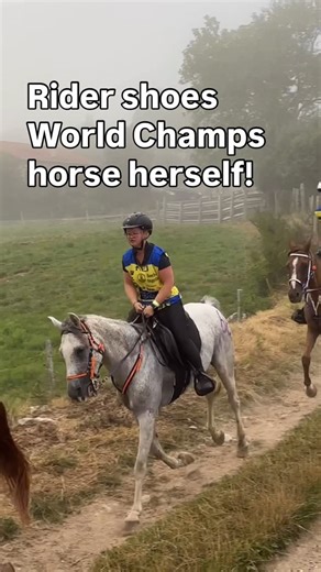 Shanti Roos Endurance Horses on Instagram: "This made me “WOW” !!! Rider shoes World Champs horse herself with Duplos! Xenia bought her horse unbroken as a 5 year old from Portugal. She started “Nevo” herself, did all his qualifying rides, he took her on her first ever FEI rides and they then did the World Championships for Young Horses together two weeks ago! The track was tough with lots of ups and downs. Nevo was not recovering as well as usually so Xenia decided to retire him after the third