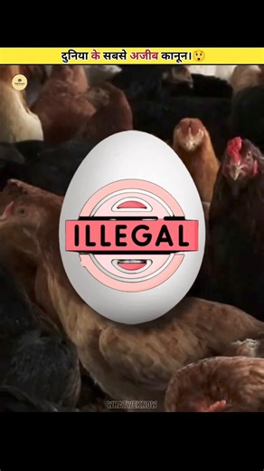 The Craziest Laws Ever Made 😲