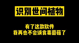 识别世间植物的软件 识别超过万种植物 再也不怕误食毒蘑菇了