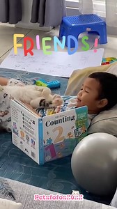 Funny baby Vs cats #FunnyCats #animal #funnyanimals #funny | Cute Animals