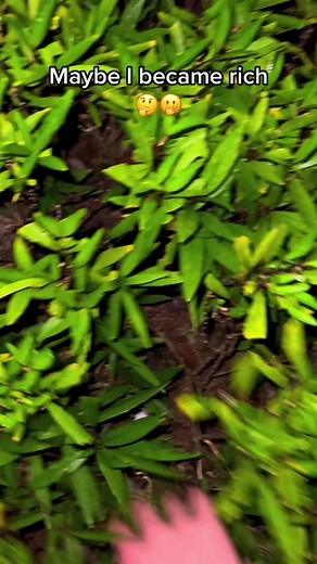 usuncrystal on TikTok