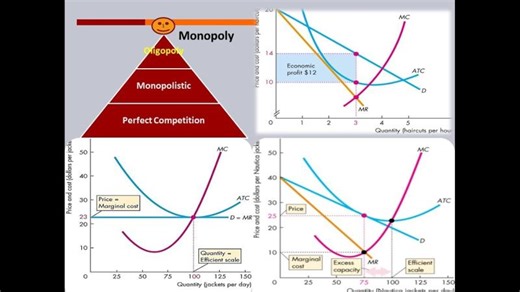 Market Structures: Perfect Competition, Monopolistic Competition, Oligopoly, Monopoly | Nisha Malhotra Ph.D. Economics posted on the topic | LinkedIn