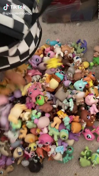 Littlest Pet Shop Collection Showcase