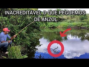 🔴PEGUEMOS COBRA DE ANZOL PESCARIA PARA FICAR NA HISTÓRIA