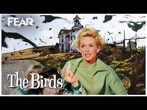 Angry Crows Attack School Children | The Birds (1963)