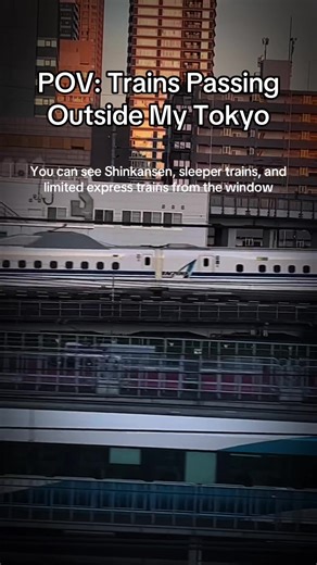 POV: Just watching trains pass by in Tokyo Shinkansen, sleeper trains, and limited express trains pass by the window. ─── 京浜東北線から眺める車窓✨ サンライズや特急、新幹線を眺めることができて最高✨ #京浜東北線 #車窓 #新幹線 #shinkansen #pov