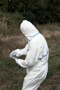 Radioactive Forest (2016) - Movie