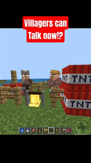 Villagers Can TALK Now?! 😱 #modsminecraft