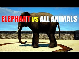 Far Cry 4 Animal Fight - Elephant Ride vs All Animals Battles (Elephant vs Crocodile, Rhino, Tiger+)