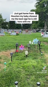 875K views · 15K reactions | Love that he is letting her know that he sees and hears her. | Sherry Gallant | Facebook