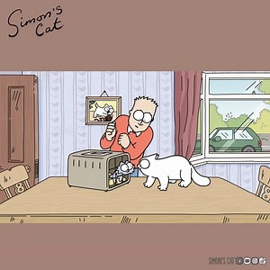 1.8M views · 81K reactions | Can we keep him?!  | Simon's Cat | Facebook