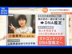 ミトコンドリアDNA型鑑定とは？母方の血縁関係がわかる DNA鑑定とミトコンドリアDNA型鑑定の違いを解説【Ｎスタ】｜TBS NEWS DIG