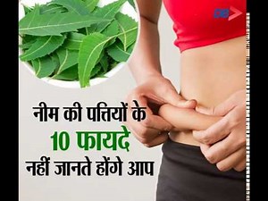 नीम की पत्तियों के 10 फायदे, नहीं जानते होंगे आप | Dainik Bhaskar