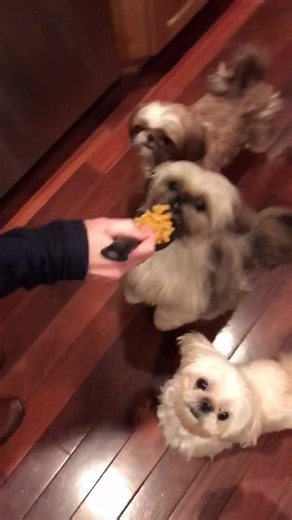 Baby Starr eating video 2019 - viral baby eating compilation