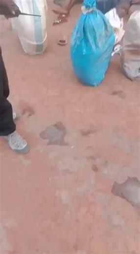 Takie informacje o handlowaniu dziećmi przez czarnych jakoś zwykle do nas nie docierają. Te dzieci nie przeżyją długo w kopalniach, sprzedawane są jak woły robocze do katorżniczej, morderczej pracy. Gdyby čiernuchów sprzedawali biali - to wówczas byłby medialny wrzask 🤷🏿‍♂️