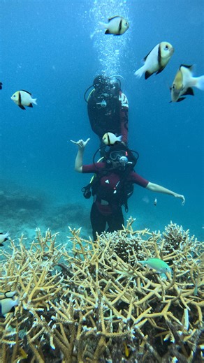 •Najdya Binth soudha Gafur• on Instagram: "Fourth day in Andaman. In the morning, we went for scuba diving at Turtle Beach. The scuba team picked us up from our room. Before the dive, we signed a form and then had around 40 minutes of training. After that, we did 45 minutes of scuba diving. The cost was ₹6000 per person. The experience was really amazing. Seeing the underwater world, colorful fish, and corals was very beautiful. At first, it felt a little scary, but once we were inside the water