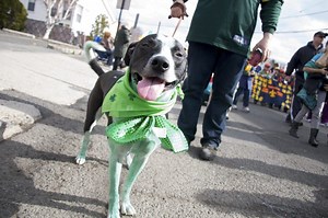 Hundreds Celebrate St. Patrick's Day with Parade