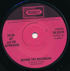 Peter Jay And The Jaywalkers - Before The Beginning