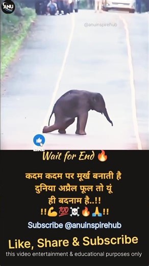 #motivation #inspiration #success #facts #elephant #trending #shortsfeed #shorts #ytshorts #masti