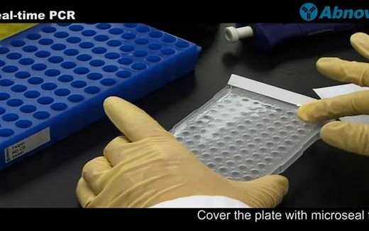 实时定量荧光PCR（Real-time PCR）