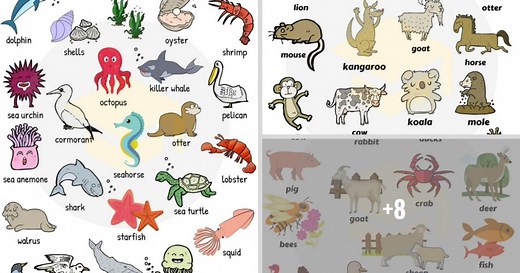 Learn 1000  Animal Names in English - ESLBUZZ