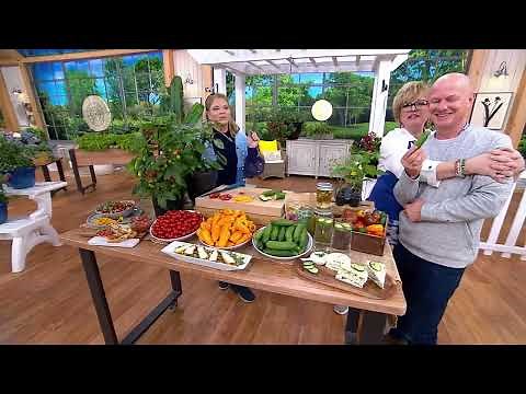 Girl Next Door 3-Piece Kitchen Mini's Veggies Live Plants on QVC