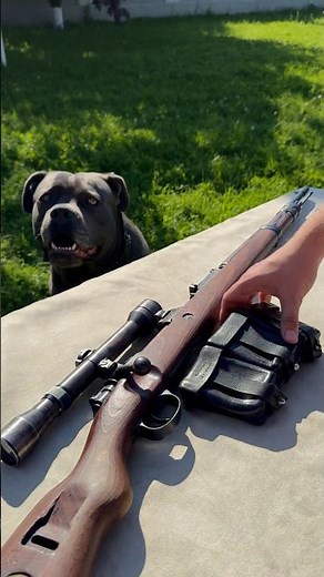 Sniper Mauser Kar98 Review