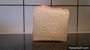 Slice of bread falling over on Make a GIF
