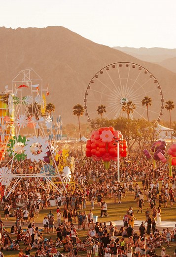 A little bit of everything 🌄