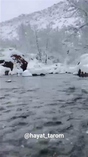 A video of the underwater river in the winter full of snow /فیلمی از زیر آب رودخانه در زمستان برفی