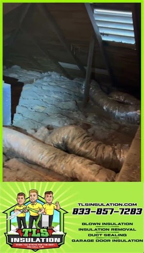 Essential Attic Insulation Tips for Your Home Renovation in St. Pete!