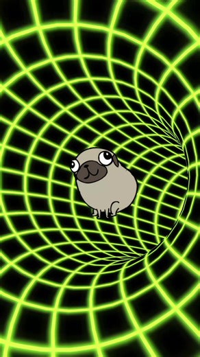 pug
