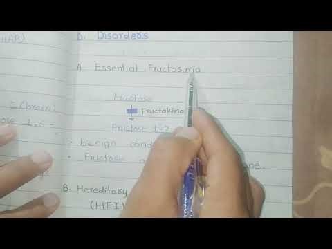 Fructose & Mannose Metabolism