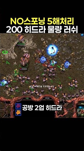 노스포닝 5해처리 후 200 히드라 물량 러쉬 가기