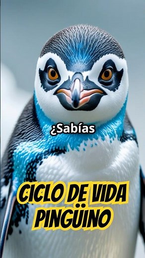 ¿Cual Es El Fascinante Ciclo De Vida De Los Pingüinos?