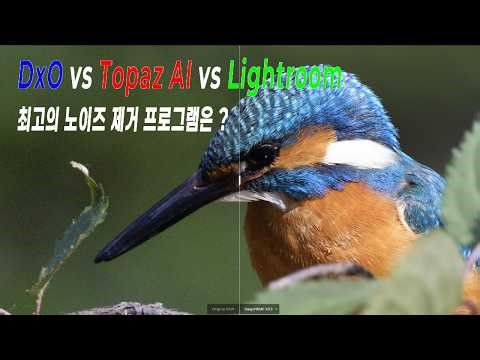 DxO vs Topaz AI vs Lightroom, 최고의 노이즈 제거 프로그램은 ???