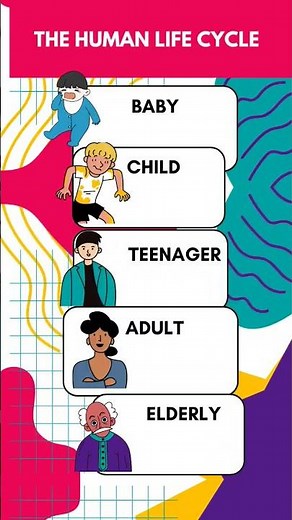 "The Human Life Cycle Explained: From Birth to Old Age"