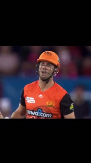 Bison's Monday Meltdown: The Ultimate Cricket Fail
