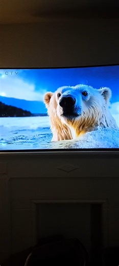 New Coca-cola Christmas bears commercial