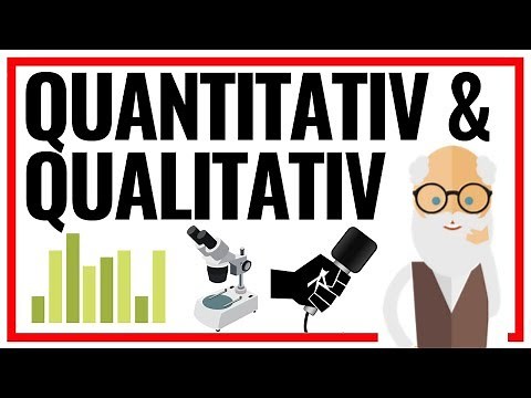 Quantitative and Qualitative | 5 Differences Between the Best Empirical Research Methods