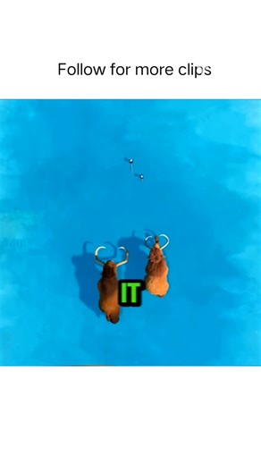 Net Clips on Instagram: "🎬 Title: Ice Age (2002) ⭐ IMDb / Viewer Rating: 7.5/10 🎞️ Genre: Animation | Adventure | Comedy 🎥 Creators / Director: Chris Wedge 👥 Main Cast (Voices): Ray Romano, John Leguizamo, Denis Leary 🌍 Country: 🇺🇸 United States ⚔️ Plot (No Spoilers): During a prehistoric ice age, an unlikely trio—a mammoth, a sloth, and a saber-toothed tiger—set out on a journey to return a human baby to its family, forming an unexpected bond along the way. 📺 Where to Watch: Streaming /