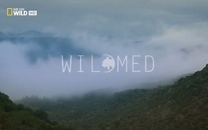【国家地理频道】最后的地中海森林 Wild-med The Last Mediterranean Forest (2018)