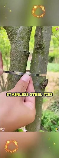 250mm Stainless Steel Zip Ties for Heavy-Duty Projects #ZIPTies