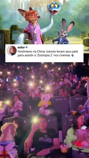 eolor on Instagram: "Na China, o filme ‘Zootopia 2’ continua quebrando recordes. Tutores estão levando seus pets para assistir a animação nos cinemas. O que acham? #zootopia #cinema"