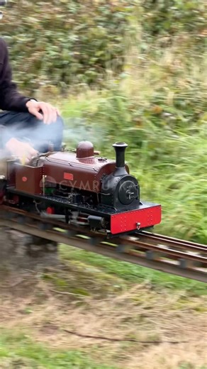 MINIATURE NARROW GAUGE STEAM #LOCOMOTIVE IN MOTION! 🚂💨 #MiniatureRailway #SteamTrain #NarrowGauge