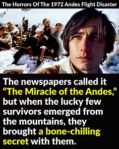 11K views · 219 reactions | The newspapers called it “The Miracle of the Andes,” but when the lucky few survivors emerged from the mountains, they brought a bone-chilling secret with them. | Factinate | Facebook