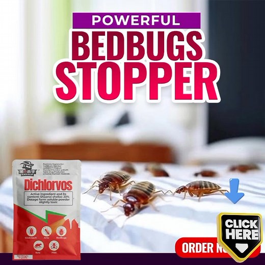 Bedbug hardly go away in your house, you try different spray and sometimes you change the mattress but yet its stubborn. Use this Bedbug crusher that's formulated for one time experience. No smell, No Odor, Spray and sleep well currently on a promo price today click the ORDER NOW Button to get yours now. Call/Whatsapp: 08109124538 | Desm Store | Facebook
